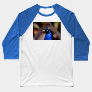 Peacock Baseball T-Shirt